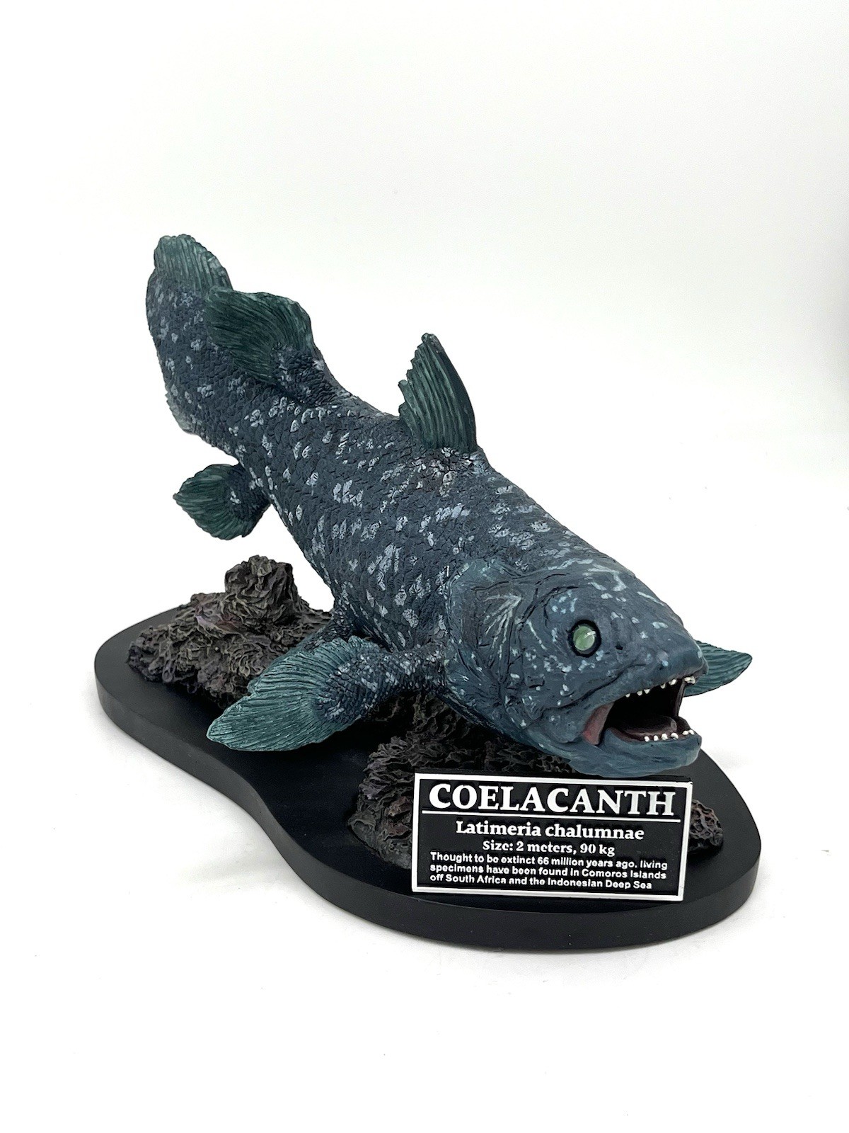 Star Ace Toys SA5005 Coelacanth Fossil Figure Statue Model Normal Ver.