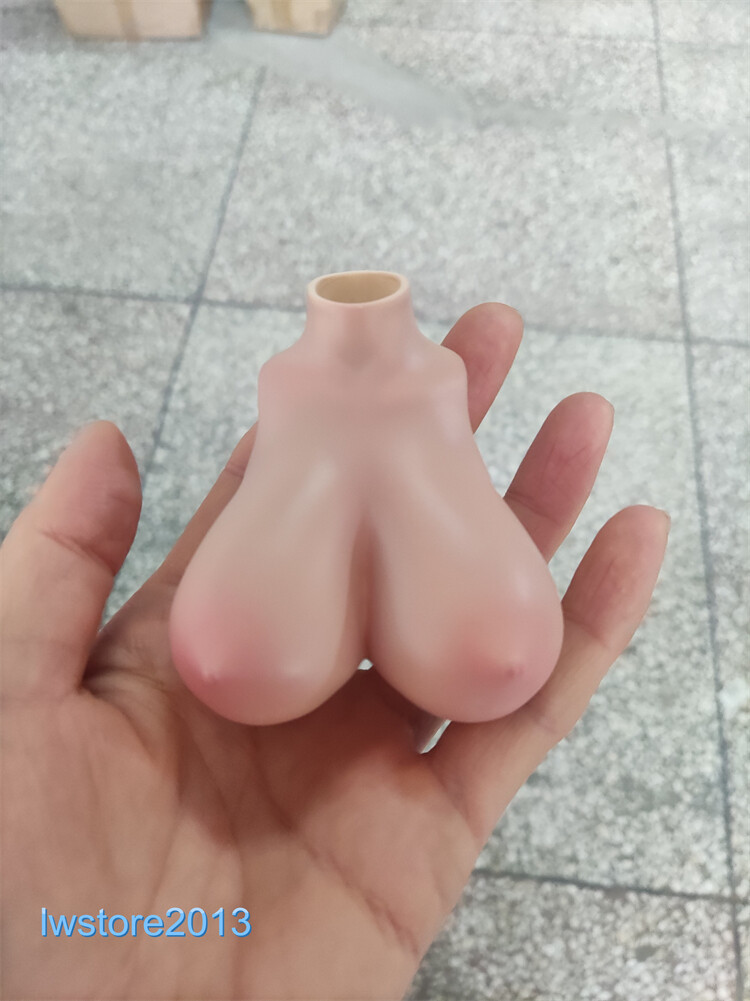 1:6 Big Bust Breast Cover Replacement Model For 12 » Female PH TBL Figure Body