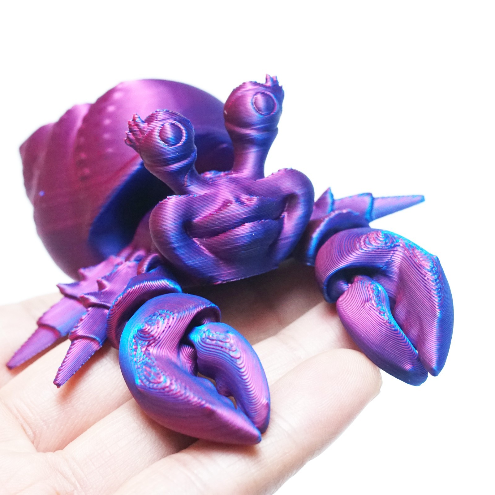 3D Printed Hermit Crab Model,Articulated Animals figure,Fidget Toys Home Decor