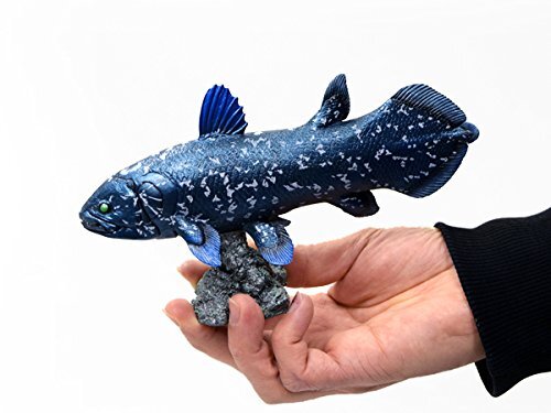 Coelacanth Soft Model (FF-001) 18.5×5.6×10.5cm toy figure fish Favorite Japanese