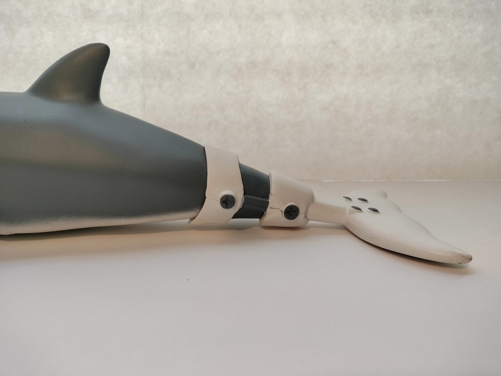Dolphin Tale Winter The Dolphin 13” Figure – Clearwater Marine Aquarium 2020