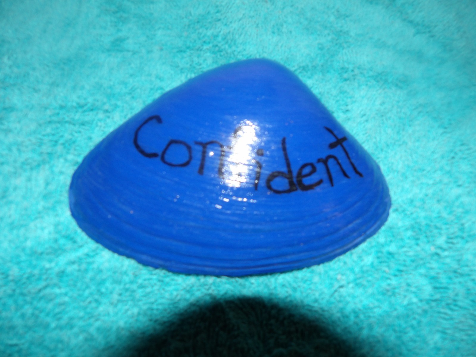 Magic By The Seashell, Enchanted & Powerful Seashells, You Choose Color & Intent