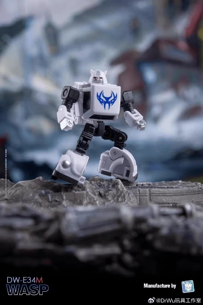 Dr Wu Customs DW-E35S Wingman Cyclonus DW-E34M Wasp Bee Action Figure in stock