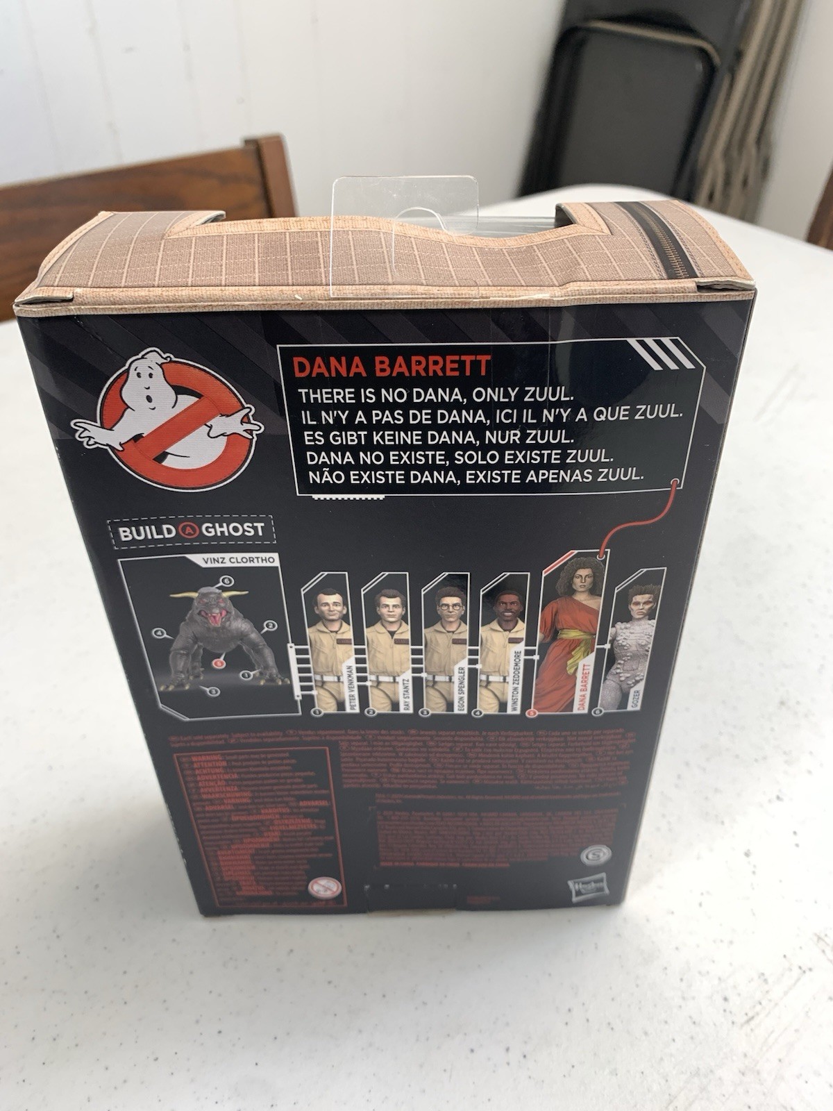 Hasbro Ghostbusters Dana Barrett Plasma Series Action Figure