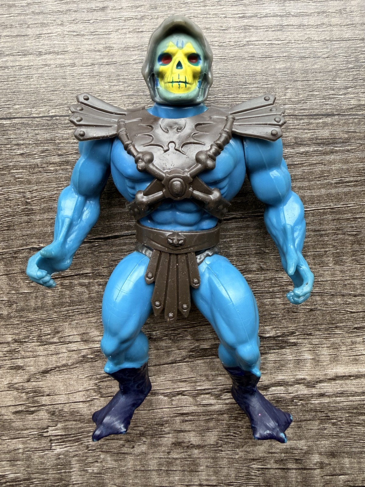 Leo India Mid-Dark Blue Skeletor – Vintage, MOTU Masters of the Universe