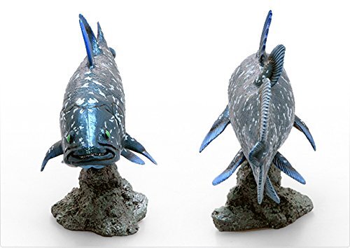 Coelacanth Soft Model (FF-001) 18.5×5.6×10.5cm toy figure fish Favorite Japanese