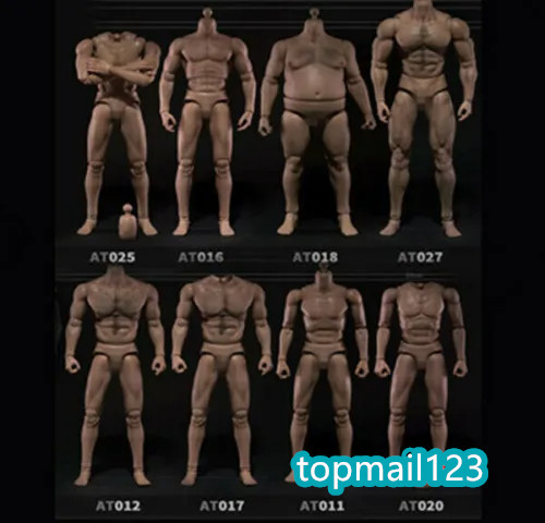 WorldBox 1:6 Scale PVC Durable Male Action Figure Body Fit 12 » Head Sculpt Doll