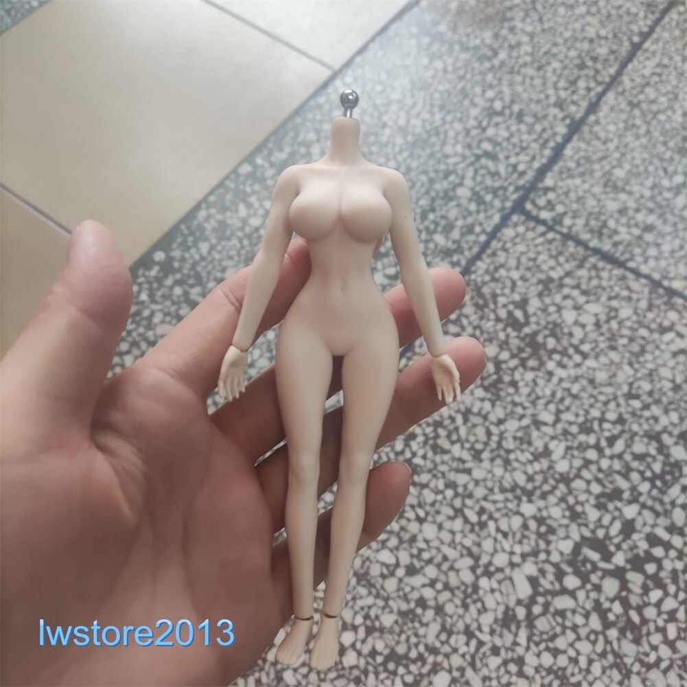 US ANT 1:12 Pale Large Bust Plump Hip 6&Prime; Seamless Female Action Figure Body Toys