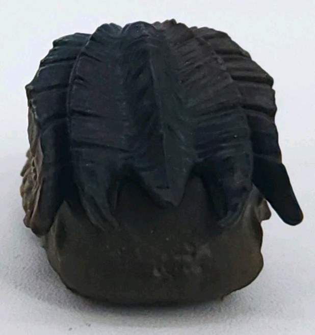Marvel Legends Avengers Cull Obsidian BAF Figure Head From Wasp