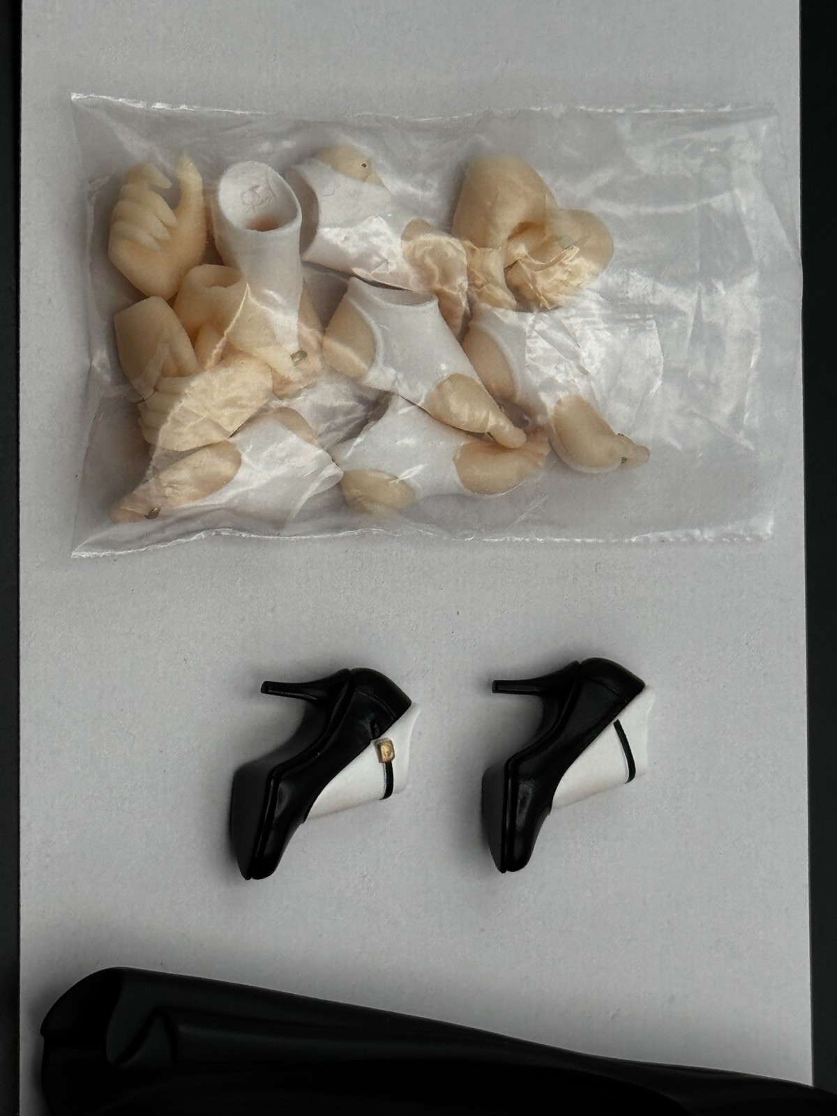 Snail Shell Sister Muse Asdo Fig & Feet Pack
