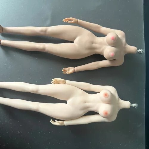 1/12 Female Nipple Breast Chest Vagina Patches Accessories For 6 » Figure Body