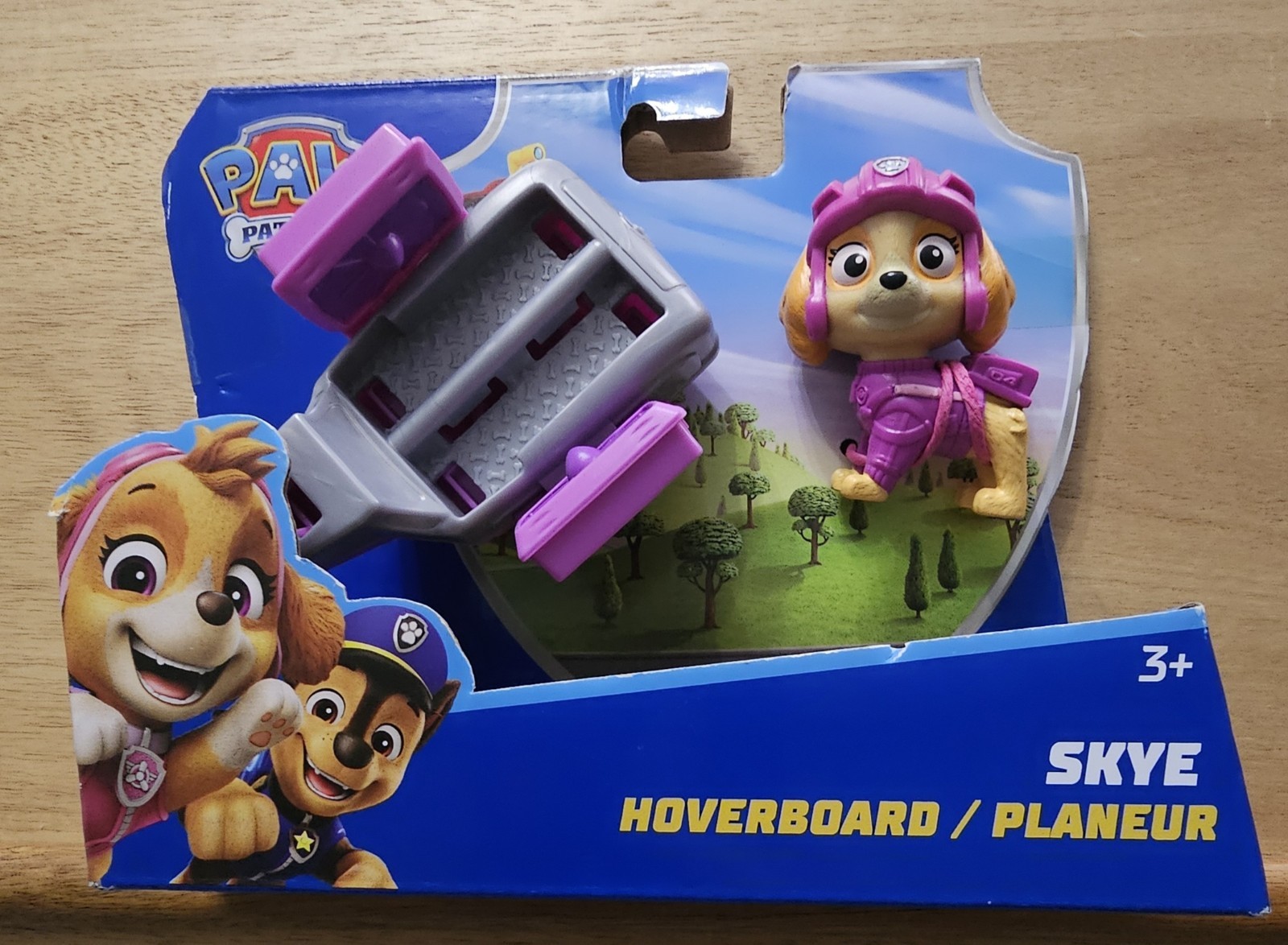 Paw Patrol Skye And Hoverboard 6071503