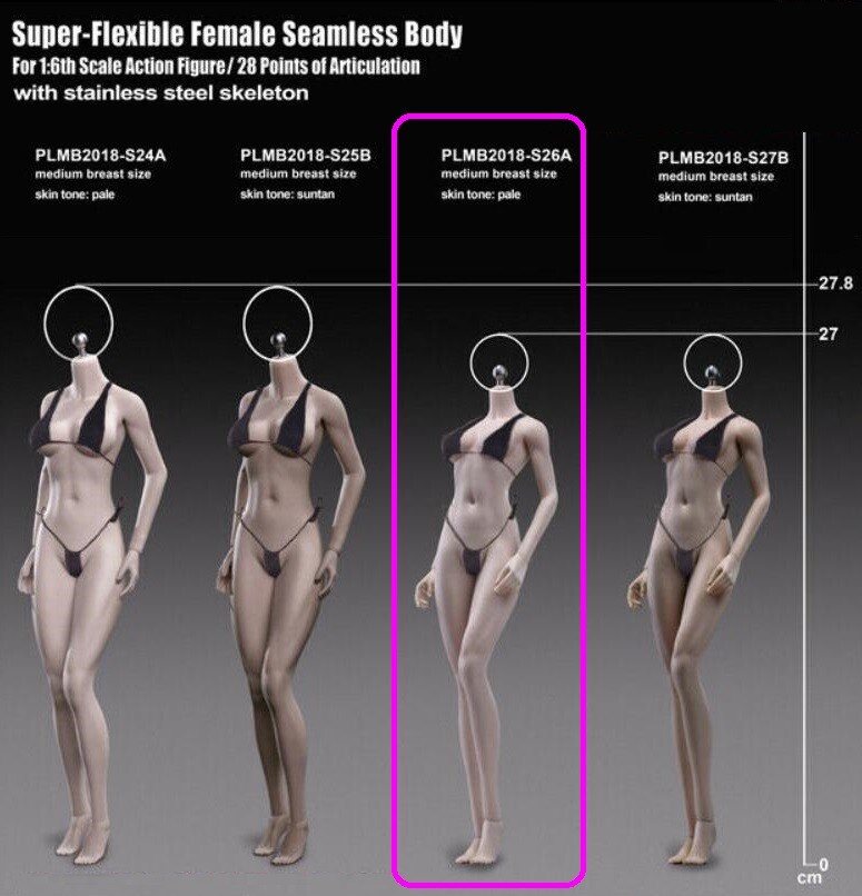 PLMB2017-S26A TBLeague 1/6 Flexible Seamless Stainless Pale Body Figure doll