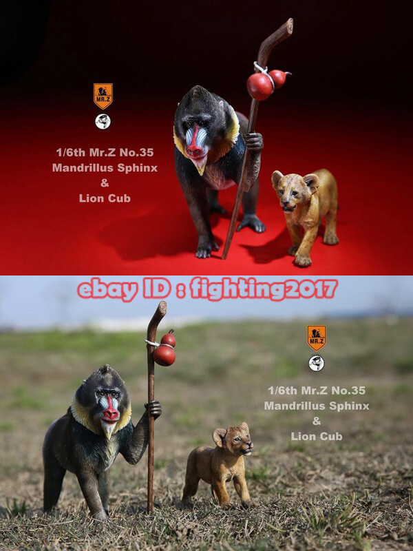 Mr.Z MRZ NO.035 1/6 Mandrill & Young Lion Animal Resin model Toy Set Pre-order
