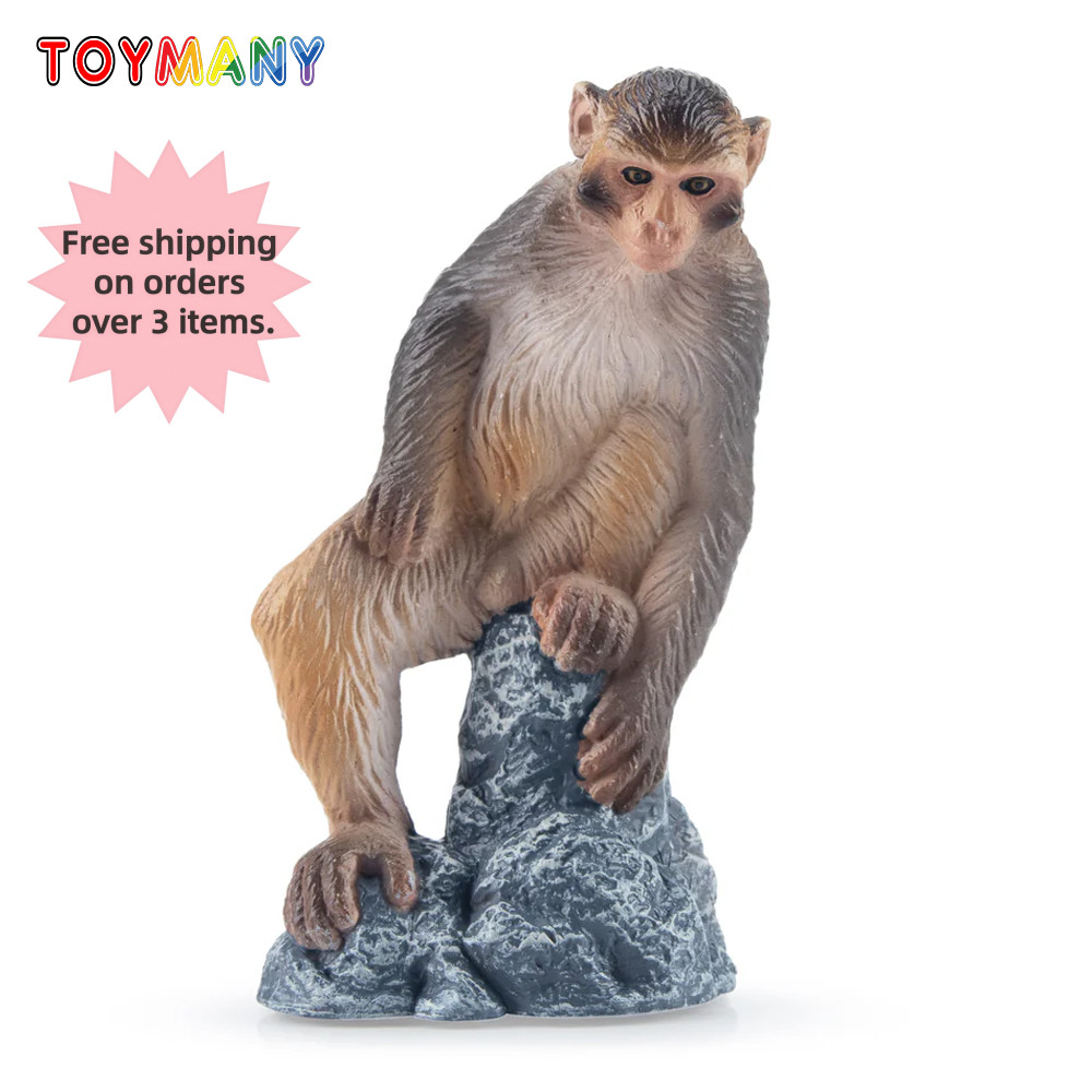 Toymany Macaque Figurine Realistic Collectible Statue Home Decor Display Gift