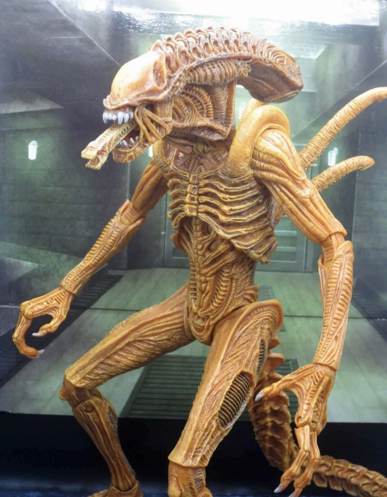 REAL 2017 NECA SDCC Exclusive Sewer Mutation Warrior Alien Case Fresh Mint