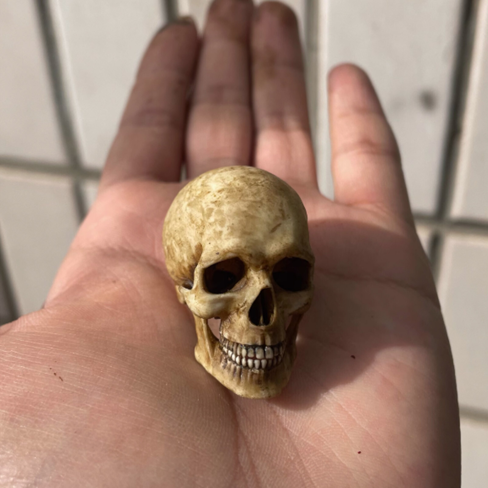 1:12 Scale Human Beings Skeleton PVC Models for 6&Prime; Action Figure Accessory Toys