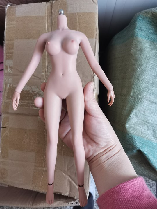 1:6 Joints Copper Skin Medium Breast Female Makeup Seamless Figure Body Toy Gift
