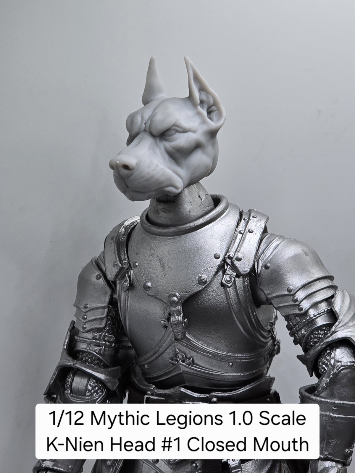 3d Printed 1.0 Head For Mythic Legions 1/12 Scale K-NEIN DOG HEAD #1