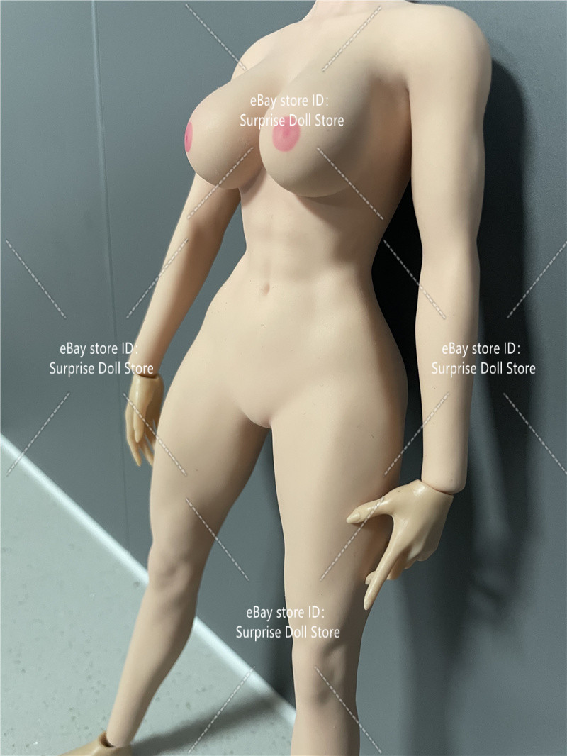 ANT T307 1/6 Female Seamless Body Muscle Normal Large Bust Plump For 12 » Figure