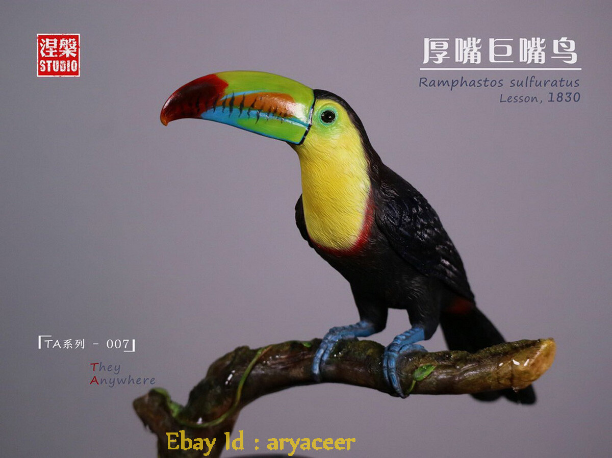 涅槃 Studio TA Series Ramphastos Sulfuratus Statue Collectible Model In Stock