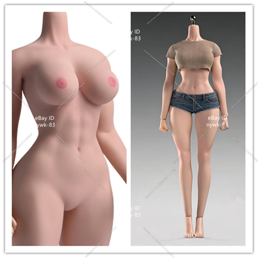 1/6 ANT T307 Female Seamless Body Muscle Normal Large Bust Plump For 12 » Figure
