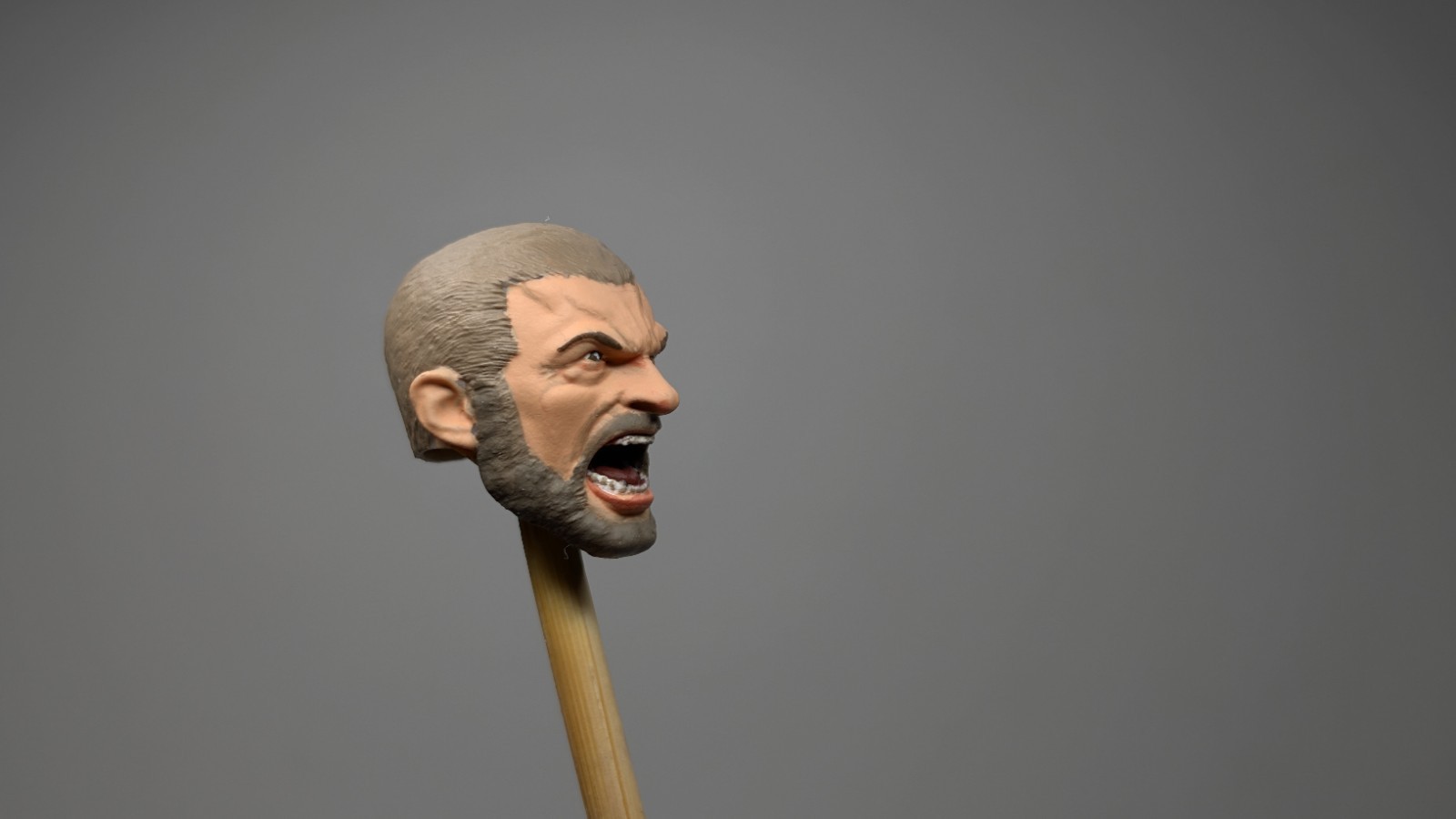 1:12 custom painted High Jackman, X-Men, Wolverine screaming head sculpt.