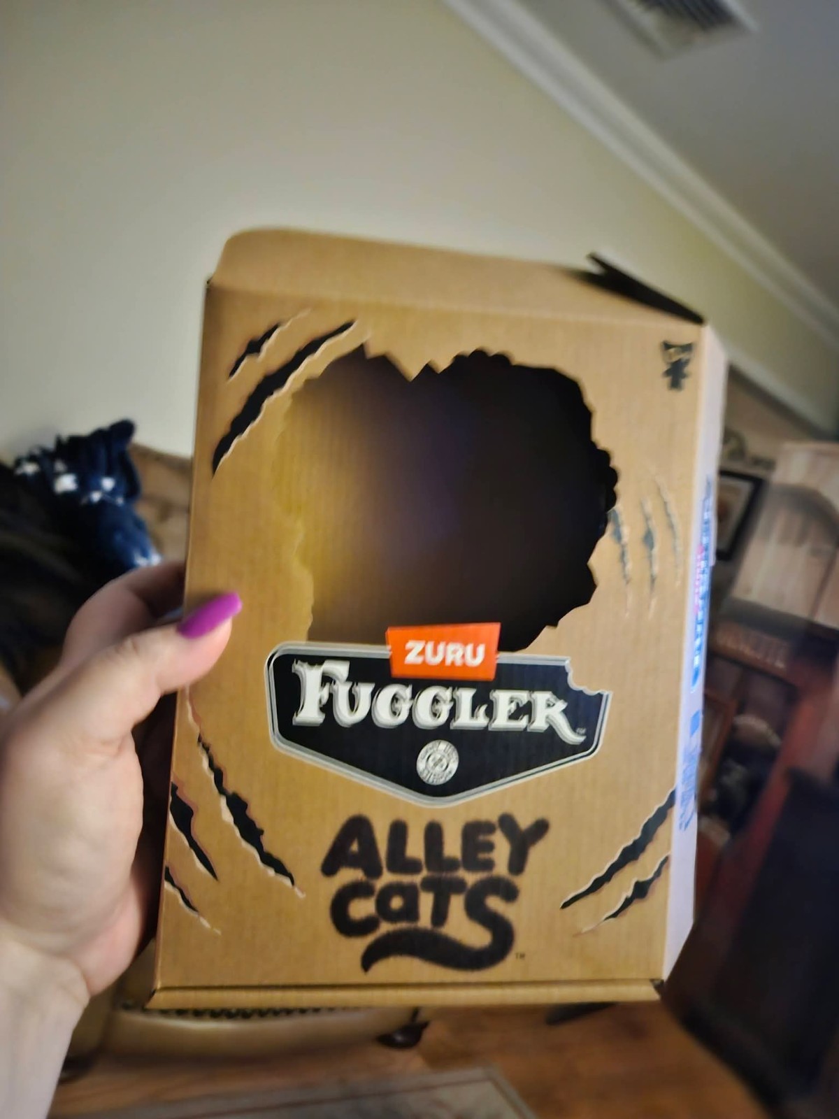 Fugglers Alley Cats