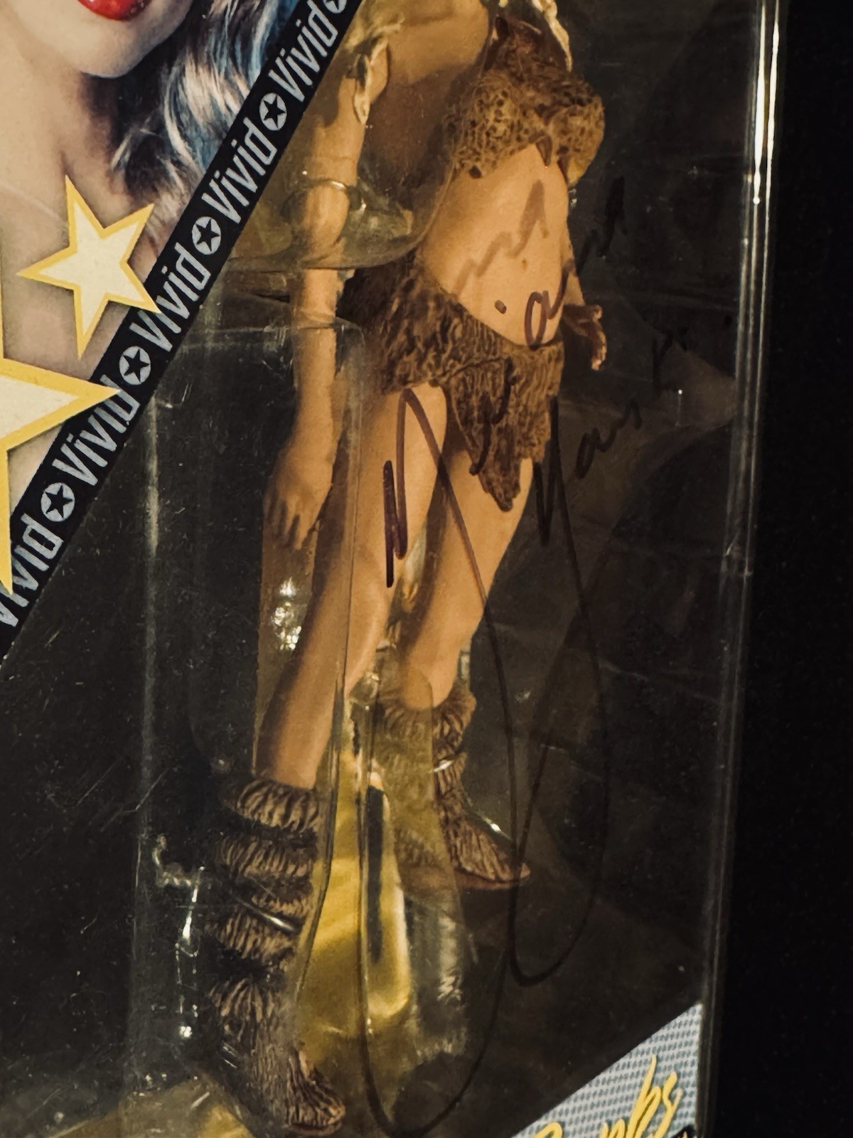 The Vivid Girl BRIANA BANKS Signed ✍️ Action Figure Plastic Fantasy 2003 NIB