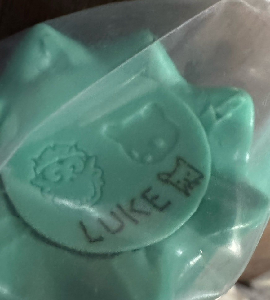 Luke Chueh Ghost Bear Unruly Industries colorway Turquoise SIGNED