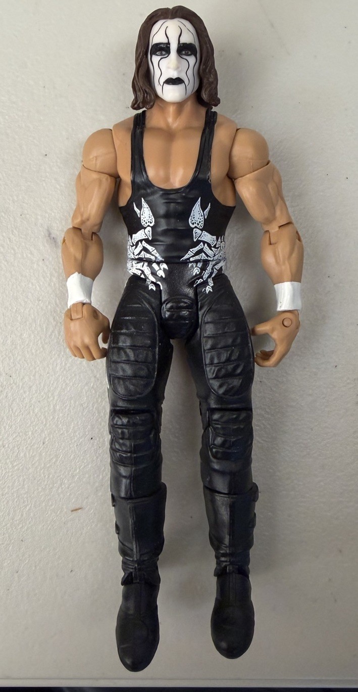 WWE STING The Crow Mattel Basic Series 55 Superstar WCW 2015 Wrestling Figure