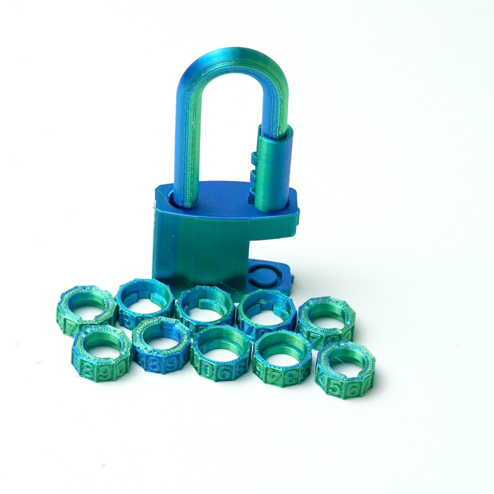 2PCS 3D Printed Lock Model,Articulated Animals figure,Fidget Toys Home Decor
