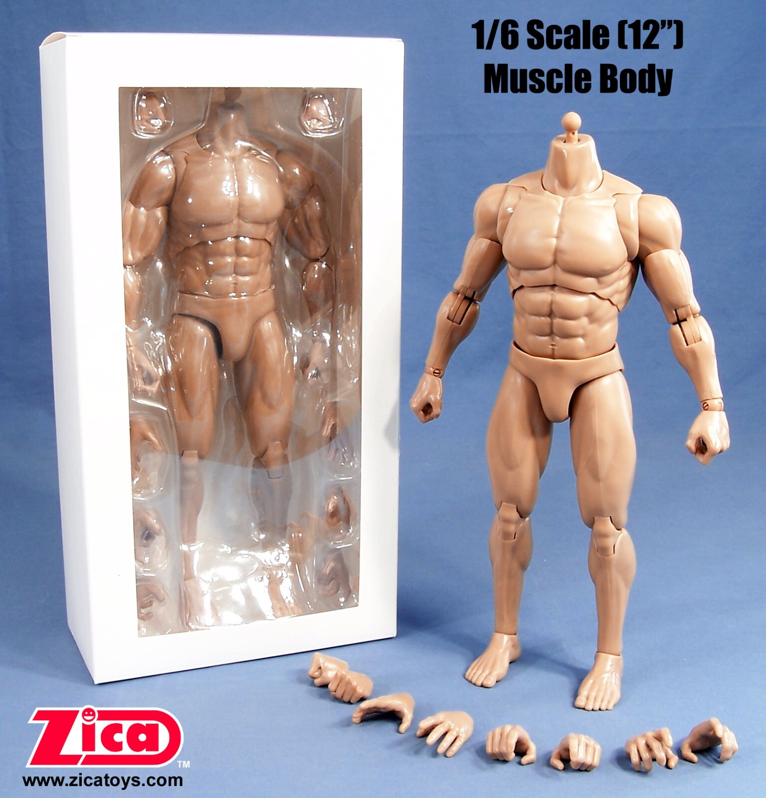 ZICA Toys 1/6 Scale (12&prime;) Male Muscle Body