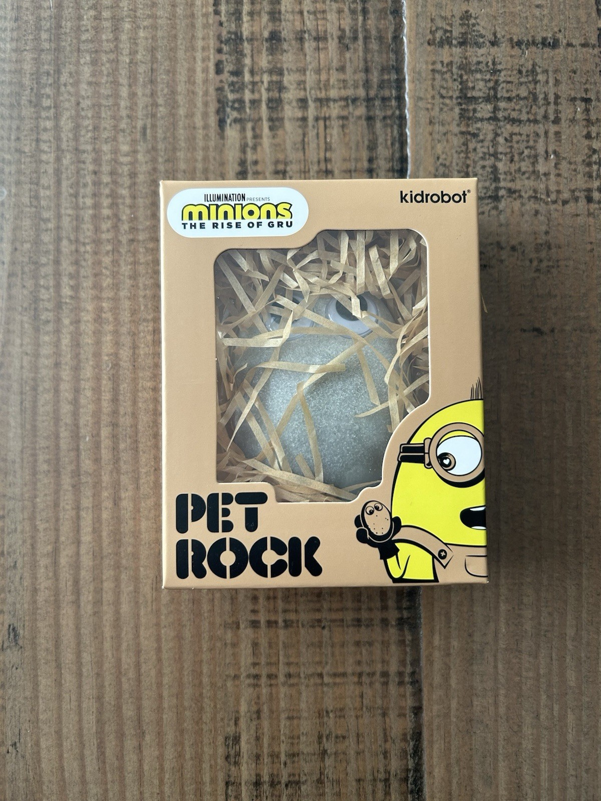 Kidrobot Minions: The Rise Of Gru Pet Rock with Pet Care Guidebook