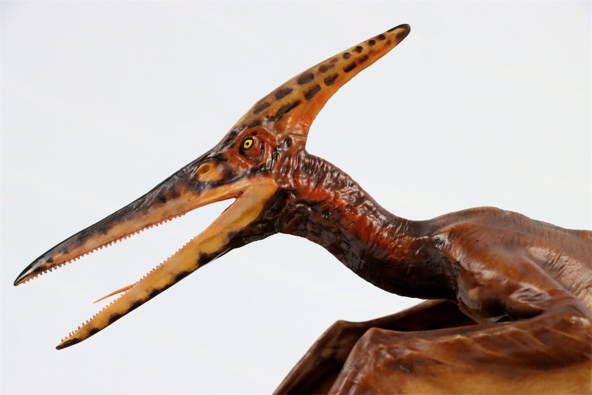 DINO DREAM 1/15 Pteranodon with Base Dinosaur Model GK Animal Figure Toys Gift