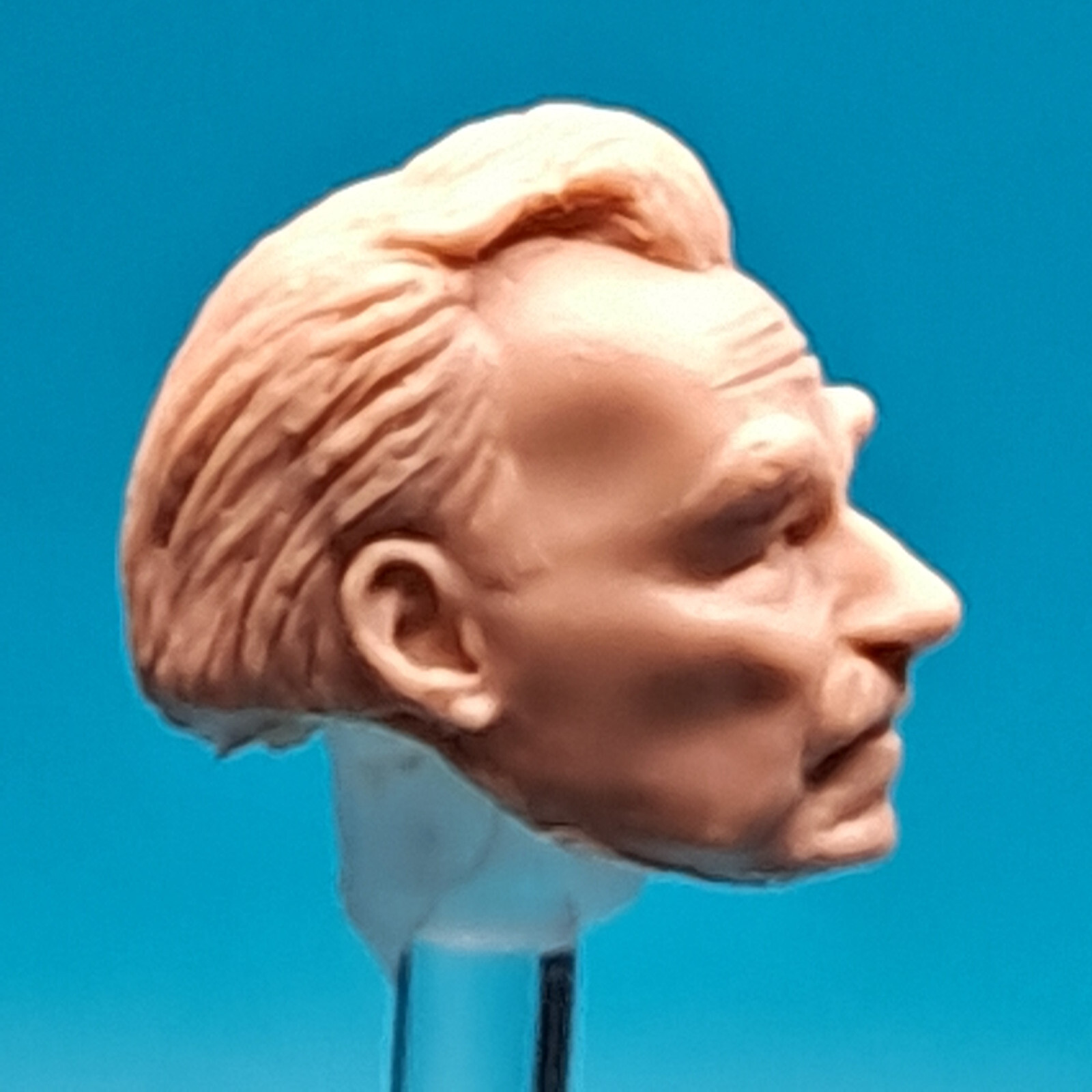 Star Wars Rycar Ryjerd Cantina Patron Custom Head Cast TVC 3-3/4&Prime; 1:18 Scale