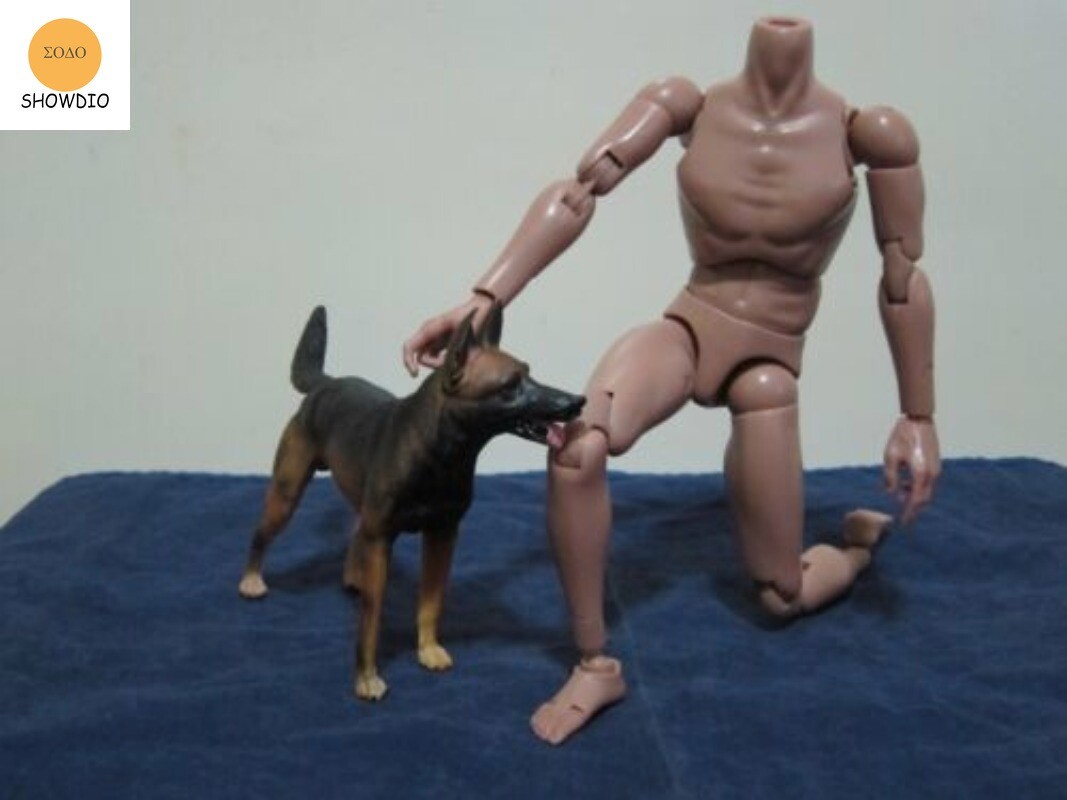 1/6 Scale Simulation Dogs Figure Shepherd Husky Rottweiler For 12&Prime;Action Scene