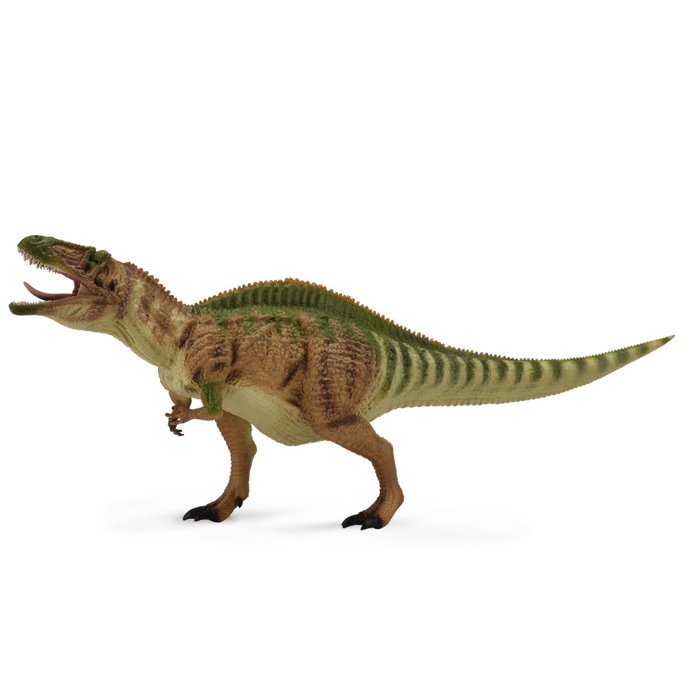CollectA Acrocanthosaurus Movable Jaw Deluxe 1:40 Scale Dinosaur Toy Prehistoric