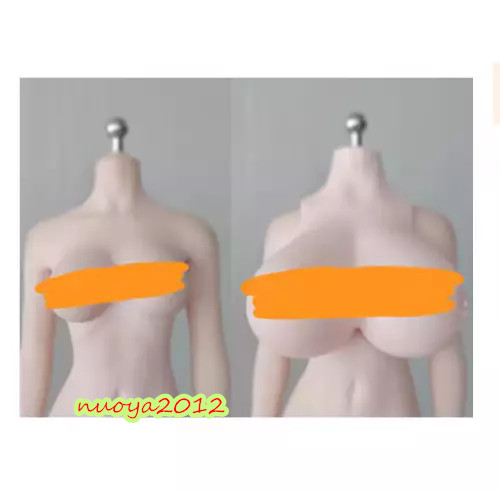 1:6 Scale Huge Breast Kits Cover Model Fit 12 » Female PH TBL Figure Body Doll