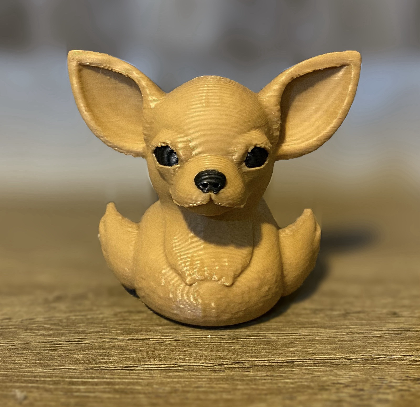 Chihuahua Duck