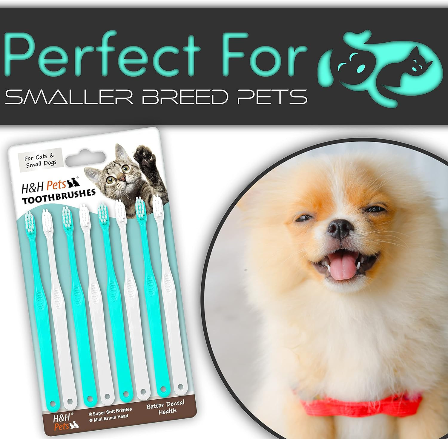 Toothbrush for Small Dogs & Cats – Soft and Extra Small Toothbrush Designed for