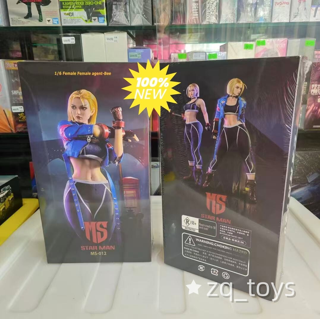 NEW STAR MAN MS-012 1/6 Street Girl Female Fighter 6 Cammy 12&Prime; Action Figure Toy