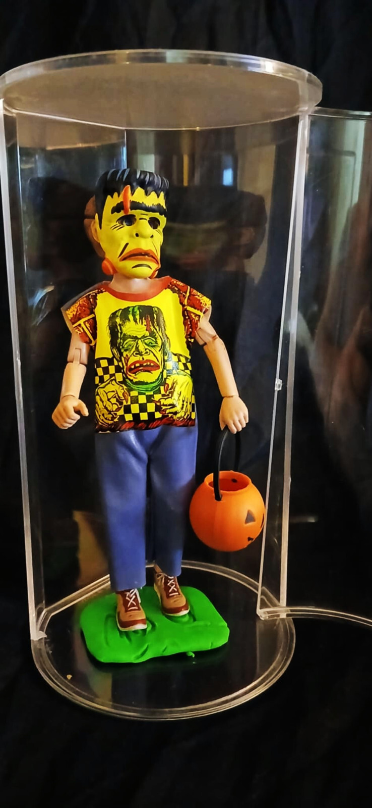 NECA Ben Cooper Halloween Monster Frankenstein Series 1, In case
