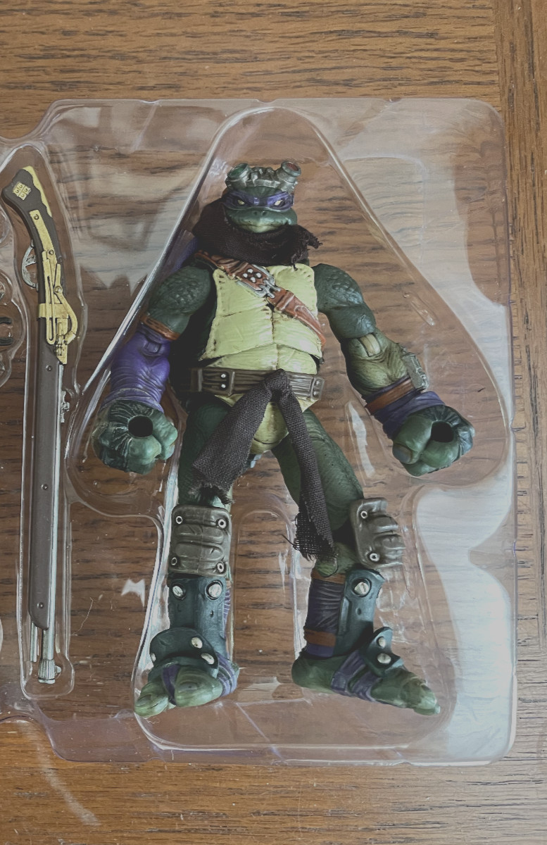 5K Toys Fury TMNT Autumn Donatello