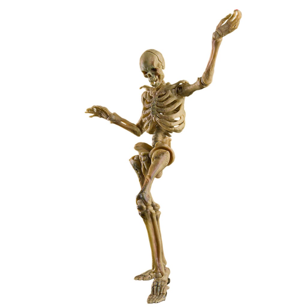 HIPLAY KEEPGOING Biology Classroom Human Skeleton Articulated Model 1/12 Figure
