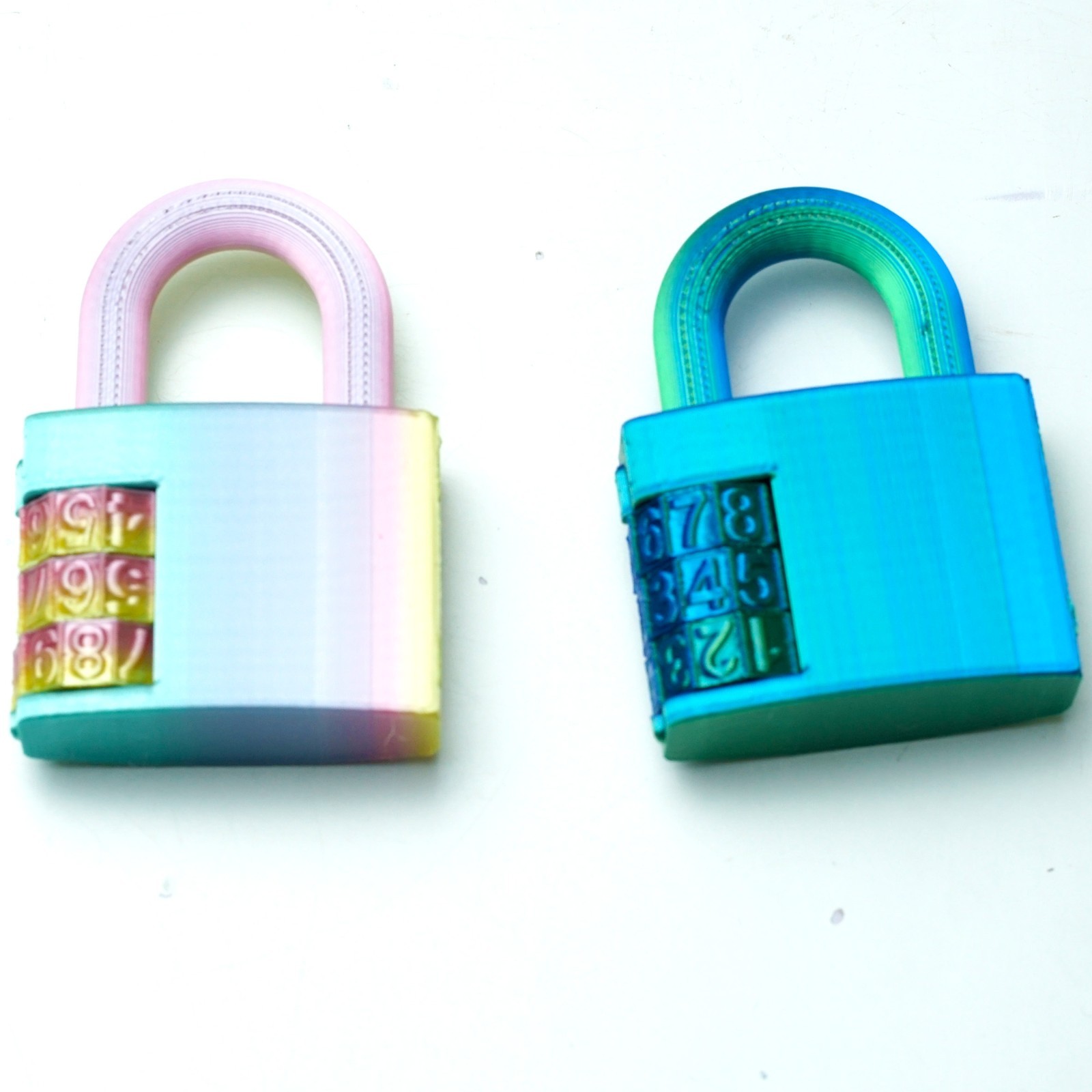 2PCS 3D Printed Lock Model,Articulated Animals figure,Fidget Toys Home Decor