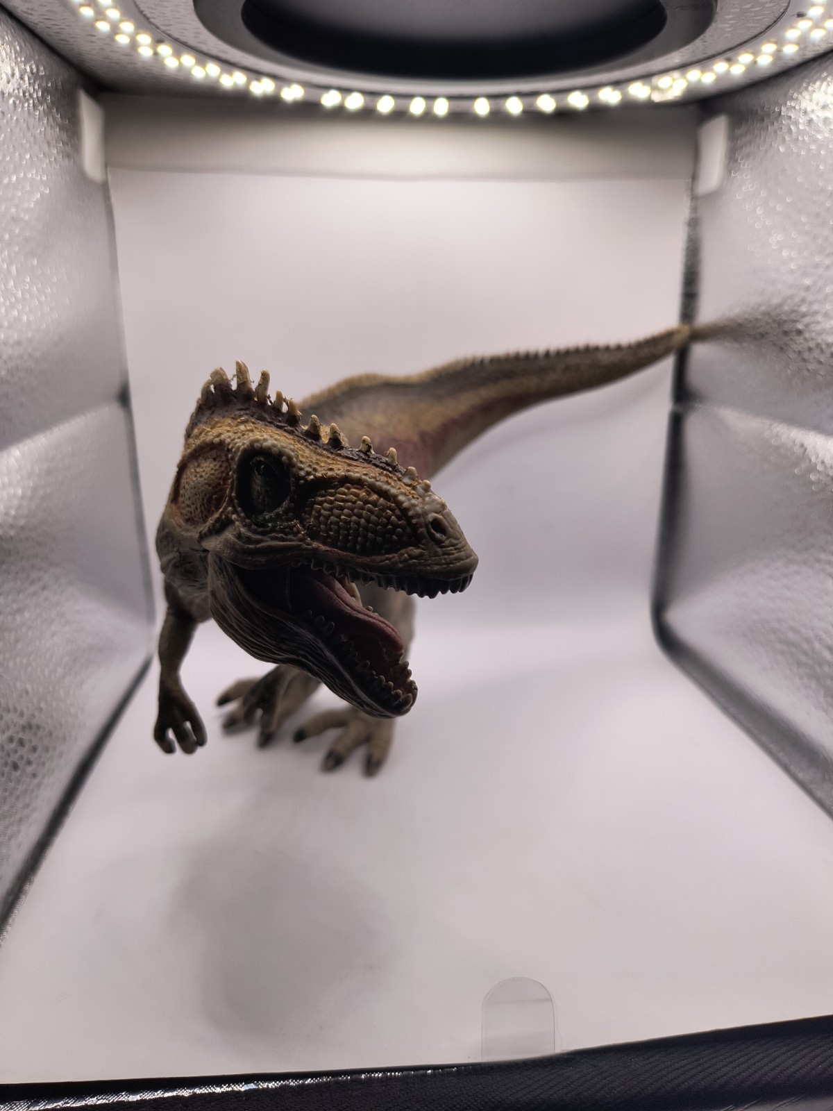 Schleich Giganotosaurus Dinosaur Movable Jaw Toy Action Figure D73527 10”