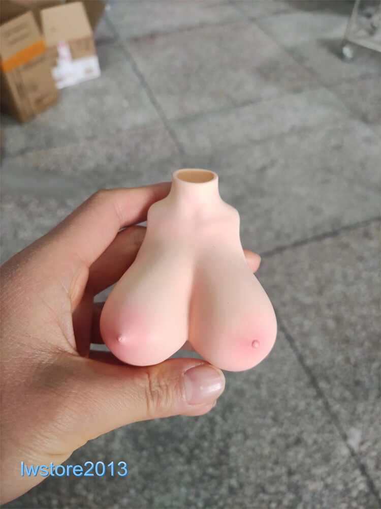 1:6 Big Bust Breast Cover Replacement Model For 12 » Female PH TBL Figure Body