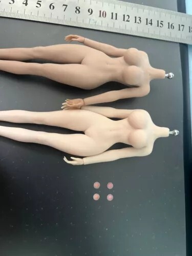 1/12 Female Nipple Breast Chest Vagina Patches Accessories For 6 » Figure Body