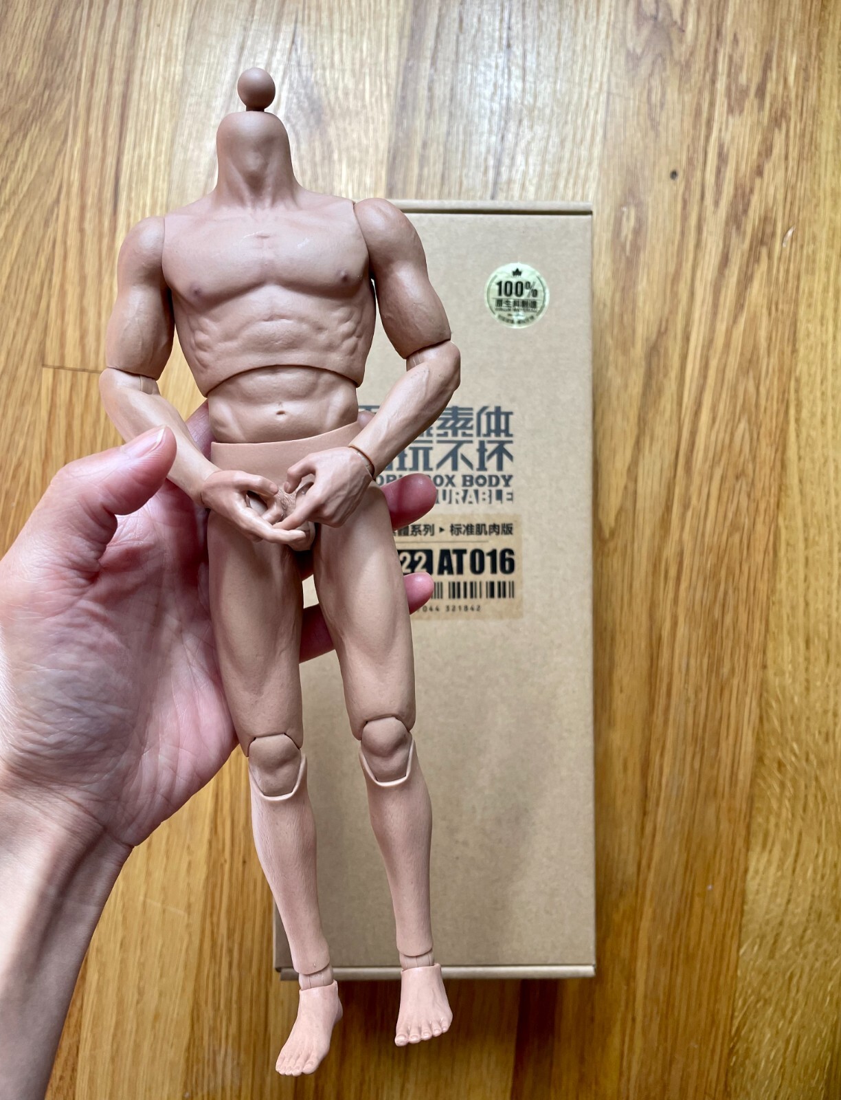 1/6 WORLDBOX AT016 Muscular Durable Body Super Strong 12&Prime; Male Action Figure